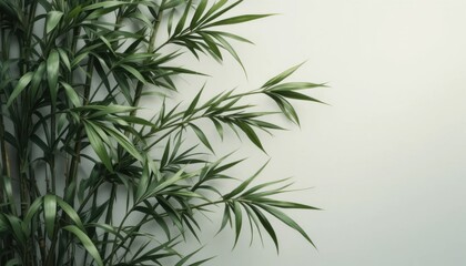 Naklejka premium Green Bamboo Leaves Extend Towards a Plain Light Wall in a Minimal Indoor Space Creating a Natural Look