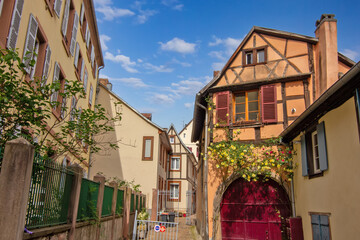 Colorful historic timber houses with flowers lining a narrow street in Colmar.