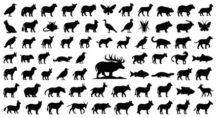 A comprehensive collection of diverse animal silhouettes, showcasing a wide range of species from mammals and birds to insects and fish. © Zara