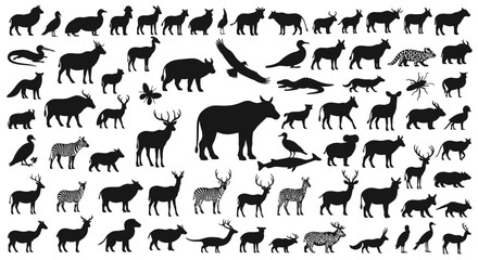 A comprehensive collection of diverse animal silhouettes, showcasing a wide variety of species in various poses and sizes. © Zara