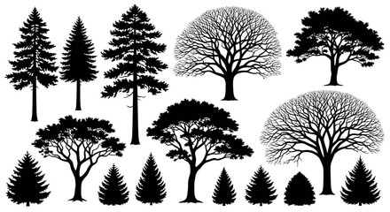 A diverse collection of tree silhouettes, featuring various types of coniferous and deciduous trees, both with and without foliage, against a plain background. © Jimy