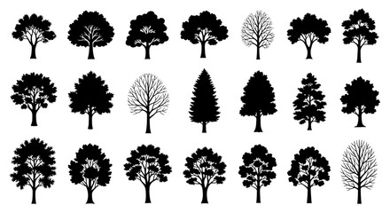 A collection of various tree silhouettes, including deciduous and coniferous types, showcasing different shapes and forms. © Jimy