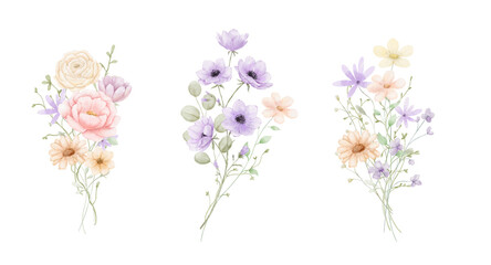 Watercolour bouquets set with pink peony, anemone, daisy and eucalyptus leaves isolated on white background, springtime or summer flowers © Elena