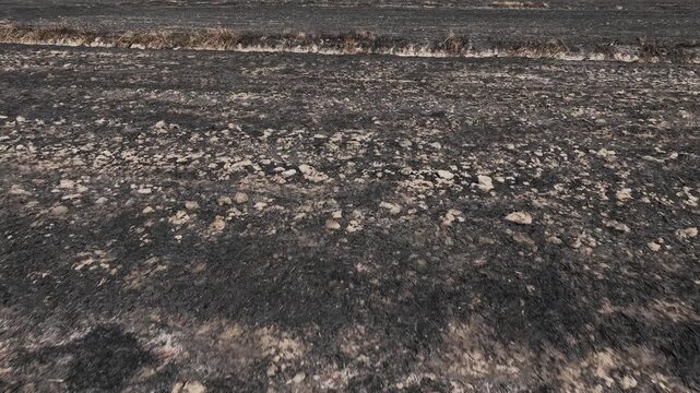 Drone close aerial perspective of burned rice fields, revealing environmental damage such as air pollution, PM2.5 exposure, degraded soil, carbon emissions, ecosystem collapse, and health problems.
