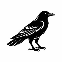 Fototapeta premium crow on a white background