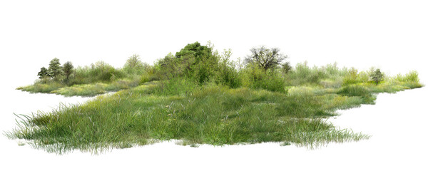 fir tree isolated on white/High-resolution lush green grassland with shrubs, isolated on a clean background—ideal for nature and design use.