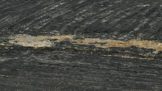 Drone-captured aerial view of extensive rice farmland turned black with ash after burning, symbolizing environmental destruction, soil degradation, air pollution, and ecological imbalance. Thailand.
