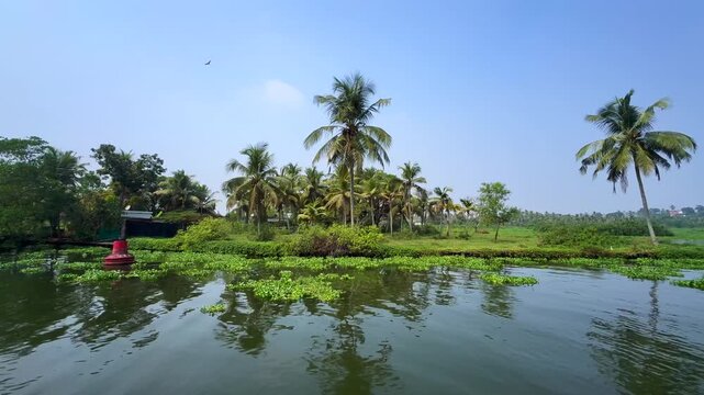 Serene Kerala backwaters landscape with lush coconut palms, calm waters and tranquil tropical landscape in Kerala, India	