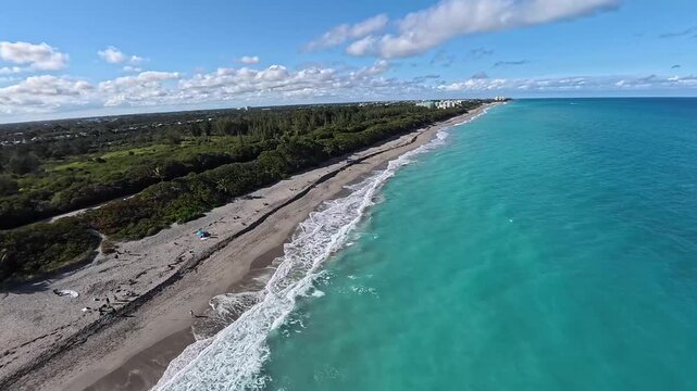 Aerial view of the vibrant turquoise ocean meeting the sandy beach and lush green vegetation, creating a stunning contrast of colors, Juno Beach, Florida, United States.