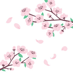 Cherry blossom branch vector object