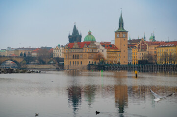 Fototapeta premium Arched Charles Bridge Karlův most over Vltava river with flying gull in Prague, Czech Republic, Europe. Reflection in water.