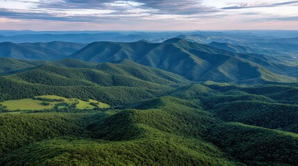 Obraz premium Lush Green Forested Landscape with Rolling Hills Under Dramatic Sky at Sunset Offering Panoramic Views and Wilderness Scenery in Golden Light