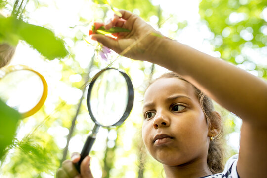 School girl examinig leaves on tree, with magnifying glass