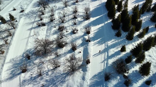 Aerial view skier racing at stadium with snow