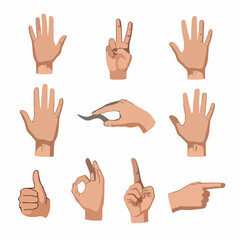 Fototapeta premium Expressive realistic hand poses and gesture vector collection