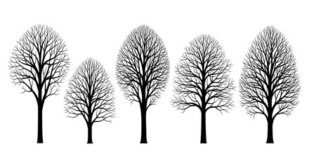 Fototapeta premium A collection of five bare deciduous trees with intricate branch structures, silhouetted against a white background.