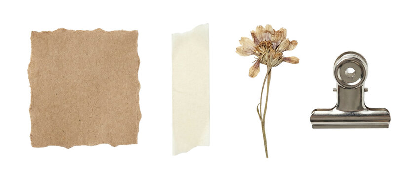 Rustic stationery cutout set featuring torn kraft paper, a narrow torn paper strip, dried wildflower and metal binder clip, isolated on transparent background