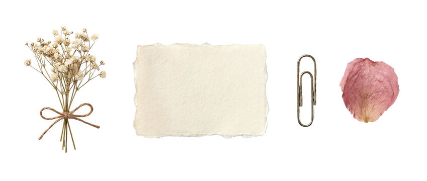 Minimal stationery collage set with torn cream paper, baby&rsquo;s breath bouquet tied with twine, paper clip and pink rose petal, isolated on transparent background