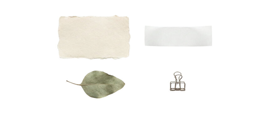 Minimal botanical stationery cutout with torn paper pieces, dried leaf, small binder clip and blank label strip, isolated on transparent background