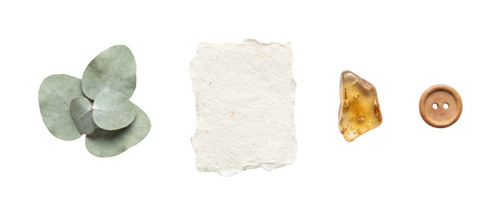 Eucalyptus leaves with handmade torn paper, amber resin piece and wooden button, isolated on transparent background. Natural collage elements for eco branding, crafts and invitations. © Vitalo4ok