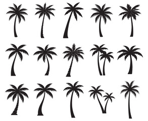 Fototapeta premium Tropical palm tree silhouettes, coconut plant nature icon set, black vector collection for island beach landscape on transparent background 