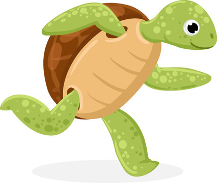 Cartoon turtle running on white background
