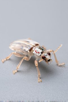 Macro photo of a tiny insect sized robot. Micro electromechanical systems (MEMS).