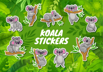 Obraz premium Cartoon koala bear characters stickers of funny Australian animal, vector pack. Cute cheerful koala mother with baby sleeping or hanging on eucalyptus tree branch, playing and smiling for kid stickers
