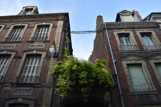 Historic Buildings in the City Center of Honfleur, Normandy, France