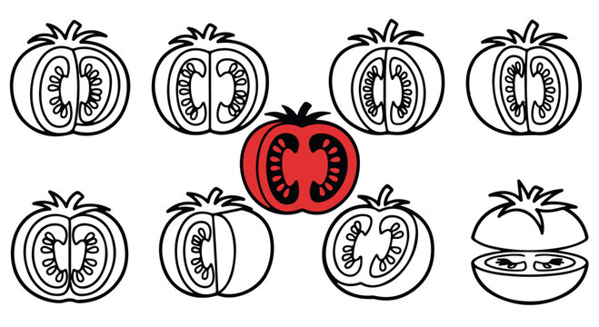 A set of eight illustrations of tomatoes, one red and seven outlined, showcasing various cuts and sections.