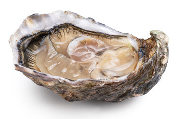 Opened raw oyster isolated on white background. Delicacy food. Clipping path. © volff