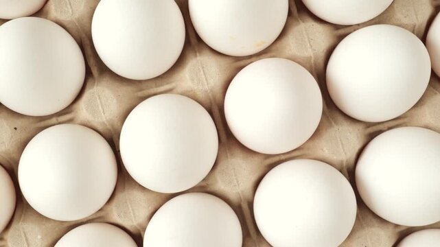 Top-down view of fresh white eggs in a recycled paperboard carton, ready for breakfast.