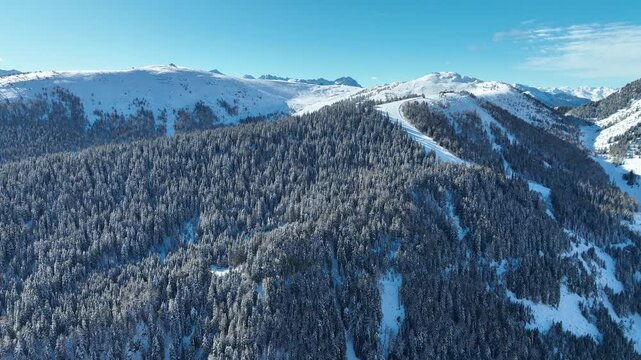 Valles(BZ): White Horizon Treeview