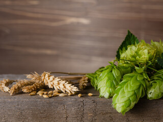 Hop cones and barley ears for brewing lie wooden board, copy space