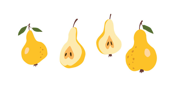 Pear isolated on white background. Natural delicious fresh ripe tasty fruit. Sweet pears with leaves. Food concept. Vector illustration for design.