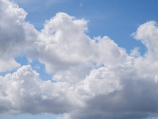 Obraz premium ​Fluffy white and grey cumulus clouds floating in a bright blue sky. Natural cloudscape background, perfect for weather and nature-themed designs