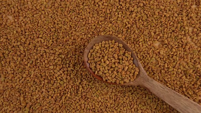 Fenugreek seeds in a wooden spoon top view.