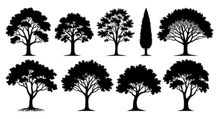 Obraz premium Collection of diverse tree silhouettes, showcasing various shapes and sizes, including deciduous and coniferous varieties.