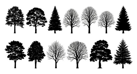 A collection of black silhouettes of various deciduous and coniferous trees, presented in two rows against a white background.