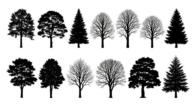 A collection of black silhouettes of various deciduous and coniferous trees, presented in two rows against a white background.
