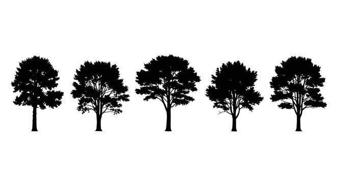 A row of five distinct tree silhouettes against a white background, showcasing varied foliage and trunk structures.