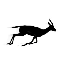 Obraz premium Silhouette of a Running Antelope Against a White Background.