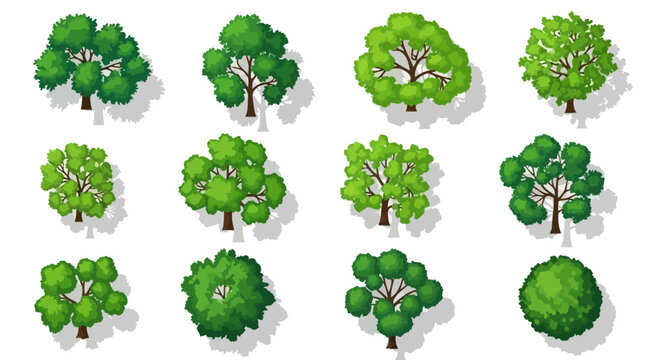 A collection of twelve stylized, top-down view illustrations of various deciduous trees with green foliage and visible branches, casting subtle shadows.