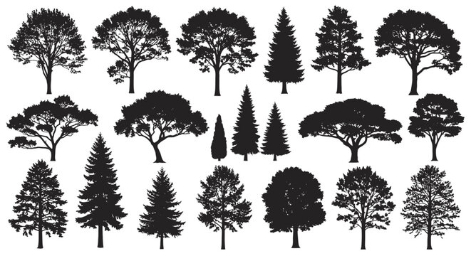 A collection of diverse tree silhouettes, showcasing various species and shapes, presented in black and white.