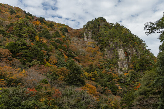 日本　広島県山県郡安芸太田町にある峡谷、三段峡の天狗岩と紅葉した木々