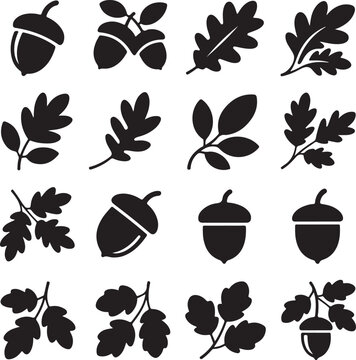black silhouettes of oak leaves and acorns on white background