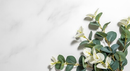 Obraz premium Realistic sprigs of white flowers and green leaves on a white marble background