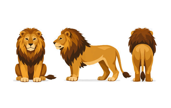 Cute Lion Character Set Front Side Back Views Vector