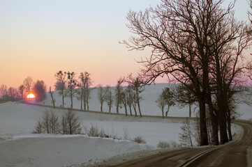 Droga wśród alei drzew na tle różowego zachodzącego słońca, © Monika