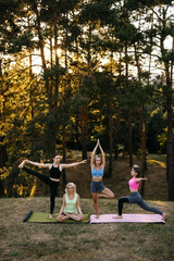 Group of women practicing different yoga balance poses outdoors in a park. Diversity, flexibility, mindfulness and healthy lifestyle concept.